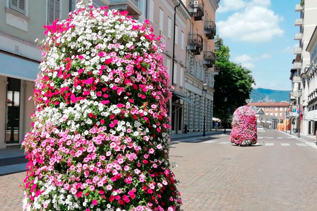 Fornitura Fiori Comune Gorizia - Produzione fiori, piante orto